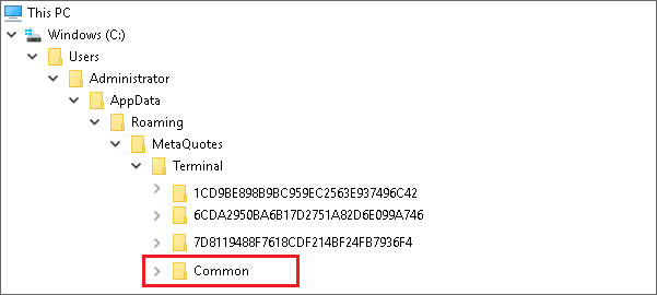 Important Folders - MT5 Common Data folder