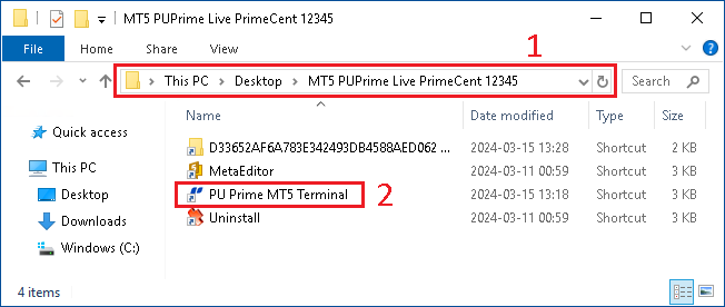 Use MetaTrader - Launch MetaTrader