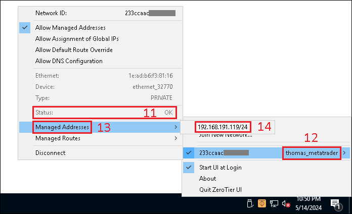ZeroTier - Image 10