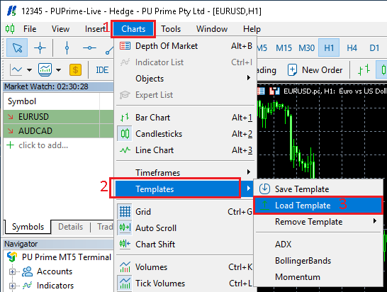 Charger le modèle de graphique - Image 1